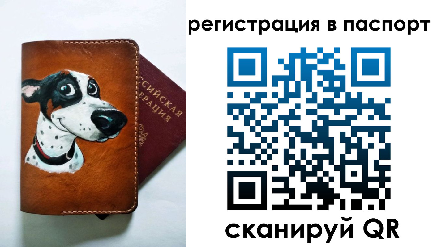 прописка штамп в Краснокаменске